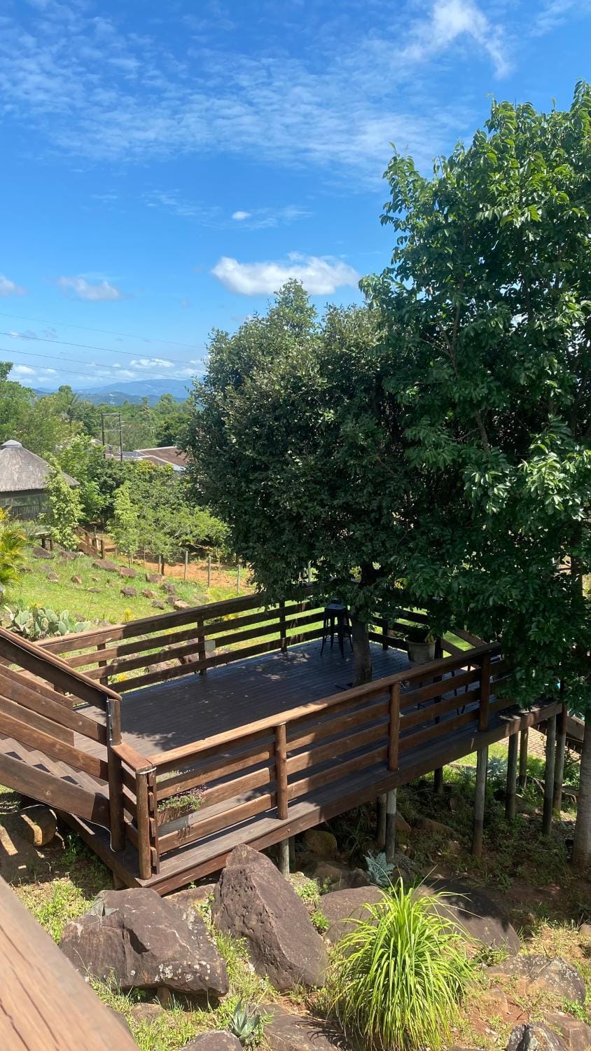 View (from property/room)