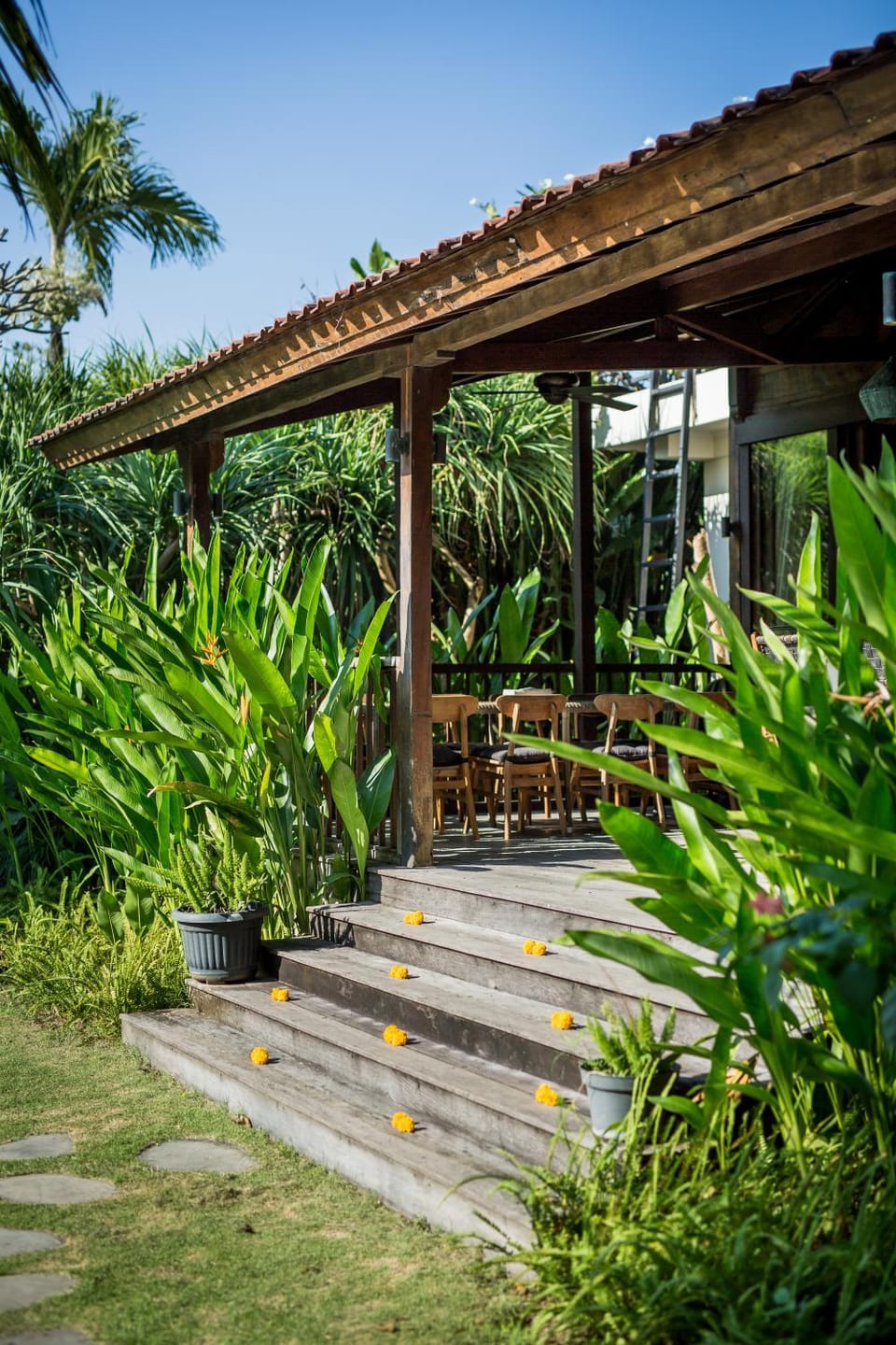 Patio, Facade/entrance, Garden