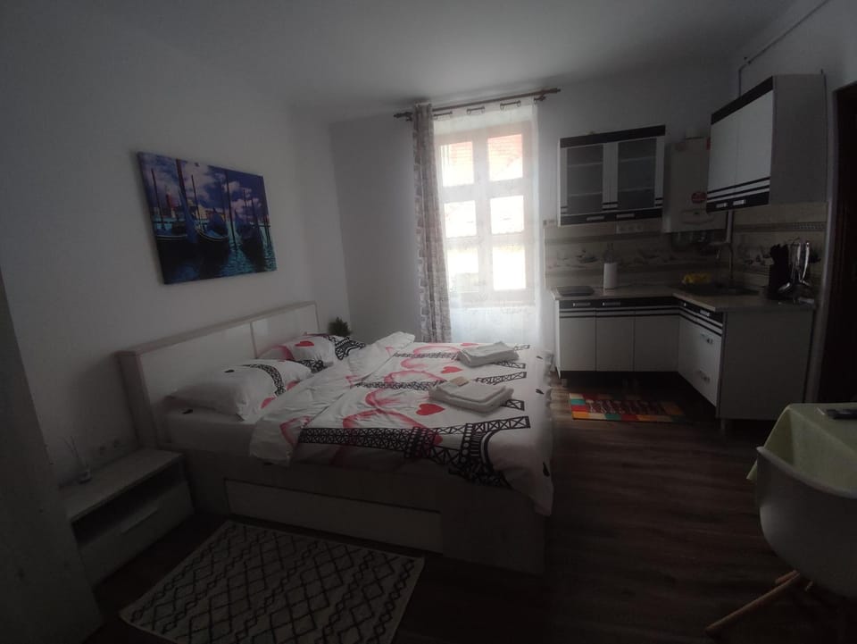 Fanea Residence Apartment in Sibiu
