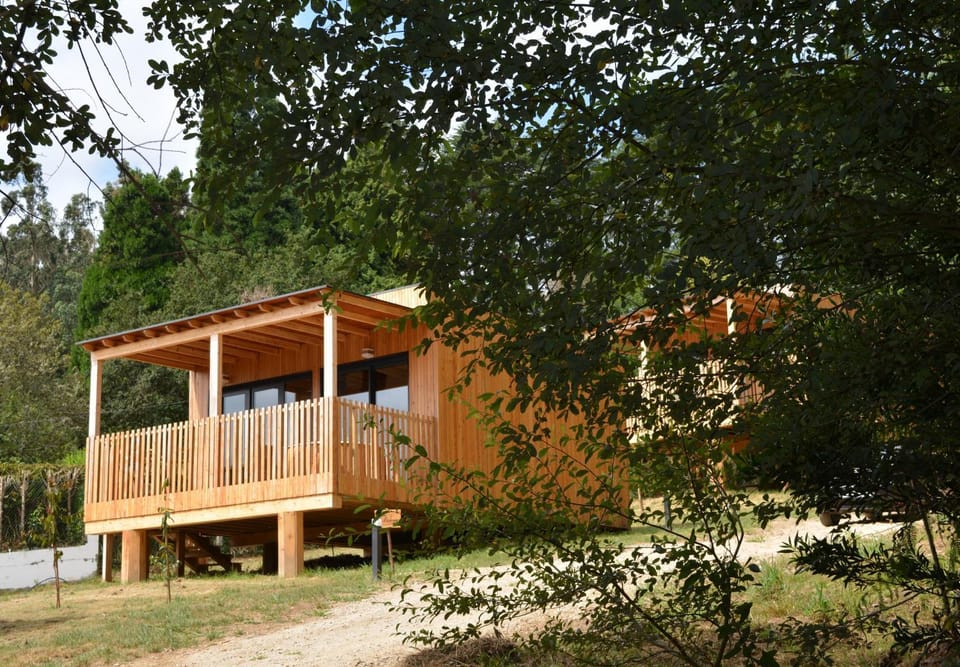 Property building, Facade/entrance, Garden