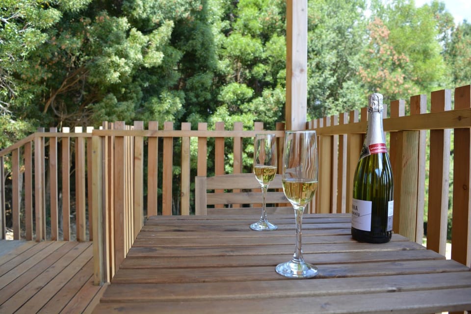 Balcony/Terrace, Drinks, Alcoholic drinks
