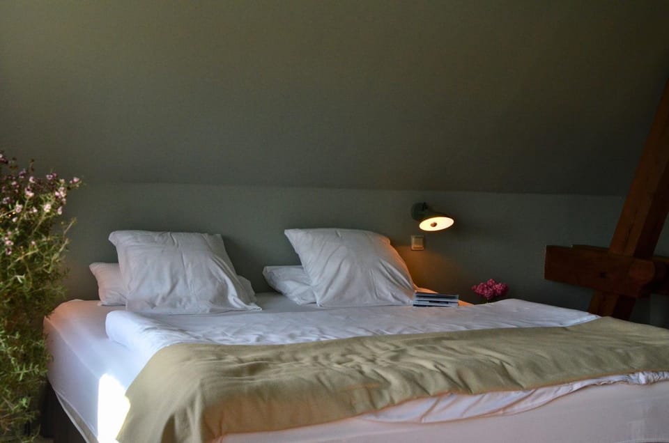 Bed, Garden, Photo of the whole room, Bedroom