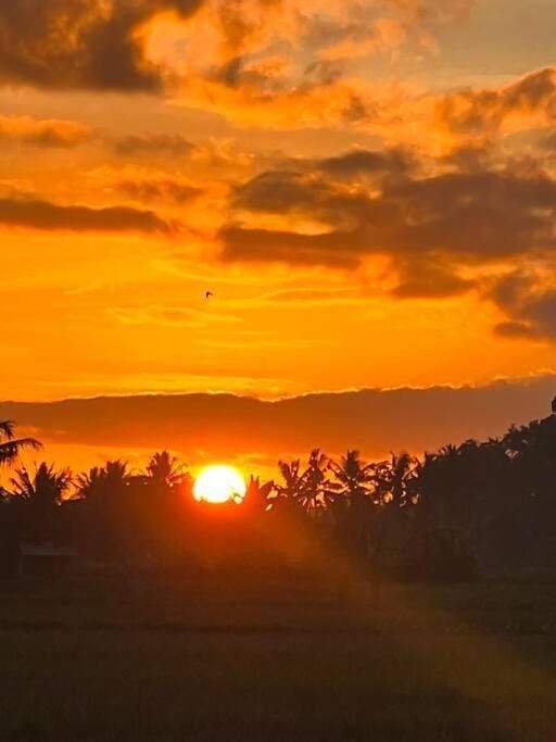 Natural landscape, Sunset