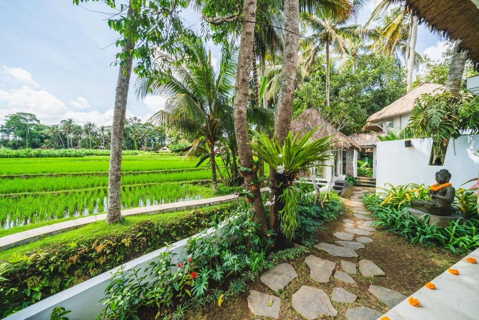 Day, Natural landscape, Garden, Garden view