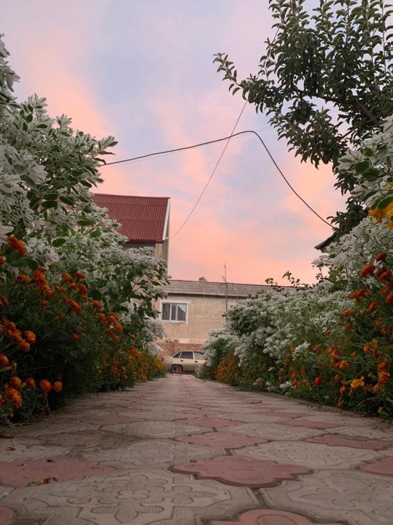 Совет, Эльмира Bed and Breakfast in Asia