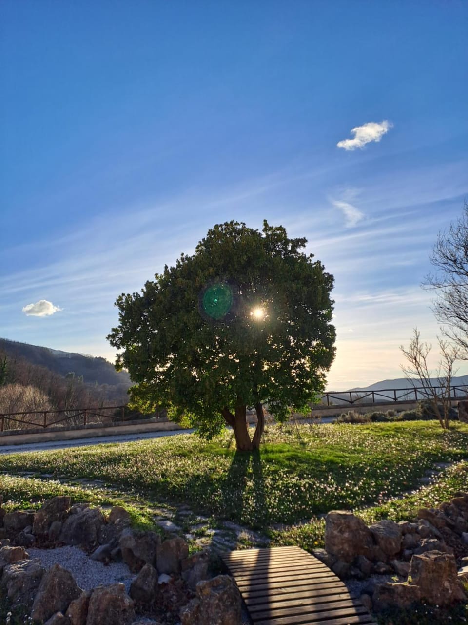 Garden view
