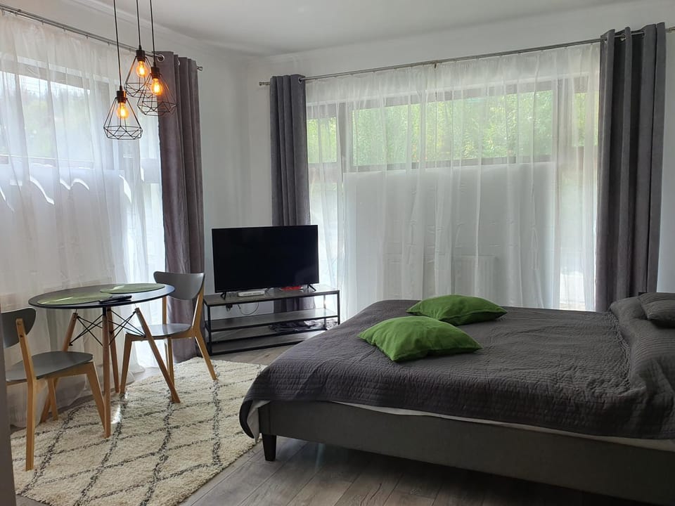 Communal lounge/ TV room, Photo of the whole room, Bedroom