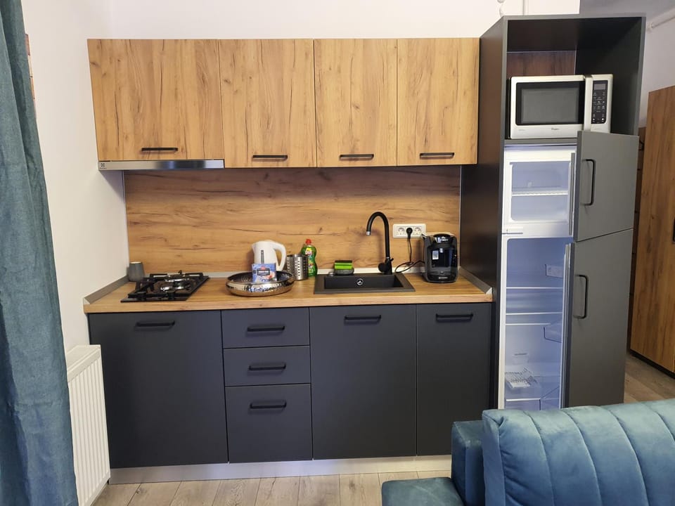 Kitchen or kitchenette, minibar, pet friendly, stove