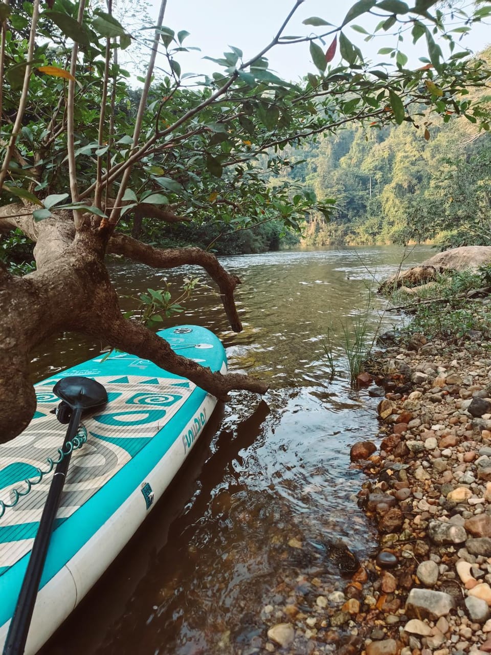 Natural landscape, Activities, River view
