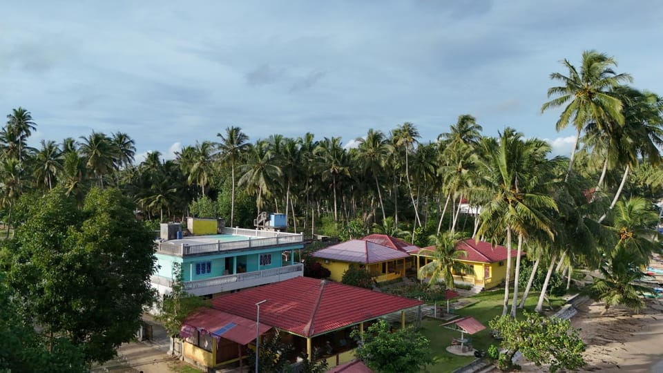 Property building, Natural landscape, Garden, Garden view