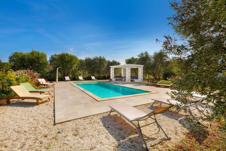 Garden, Swimming pool, sunbed