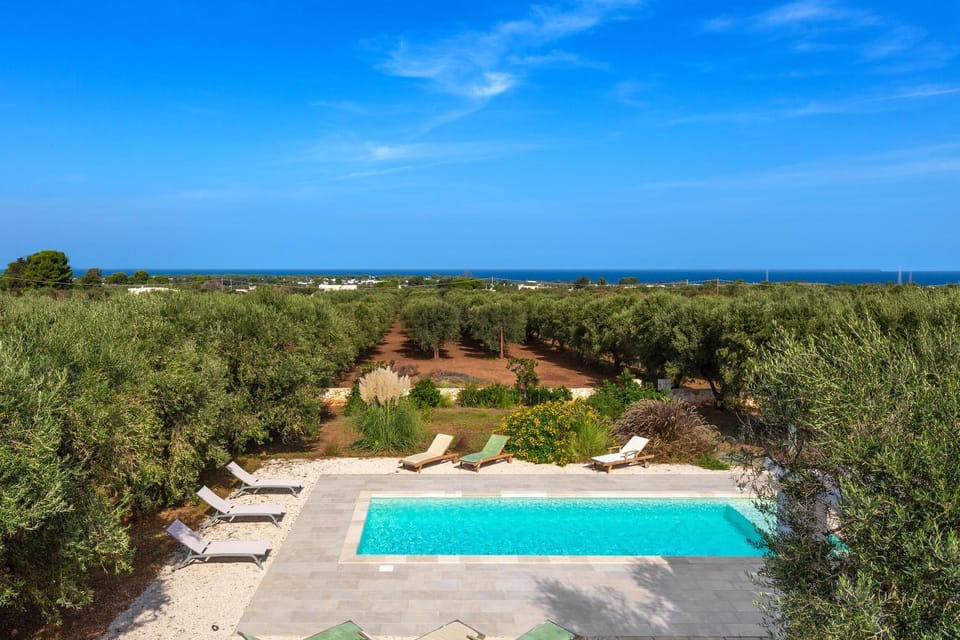 Swimming pool, sunbed