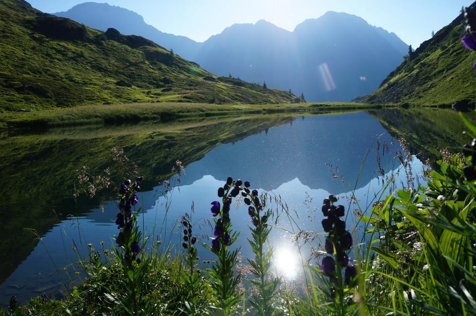 Natural landscape