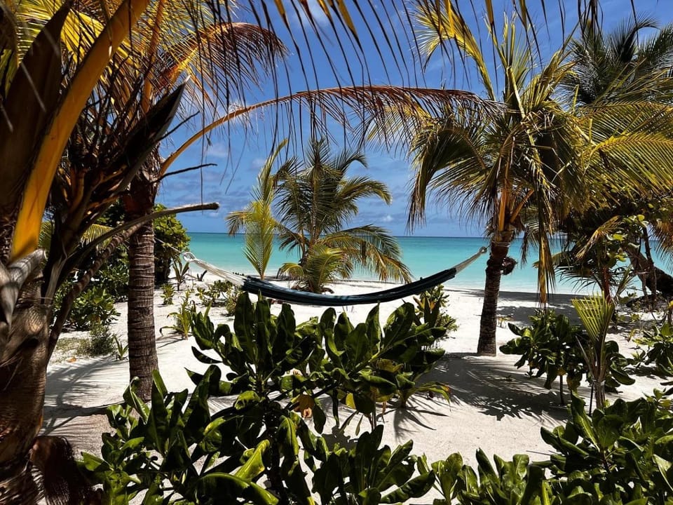 Beach, Sea view