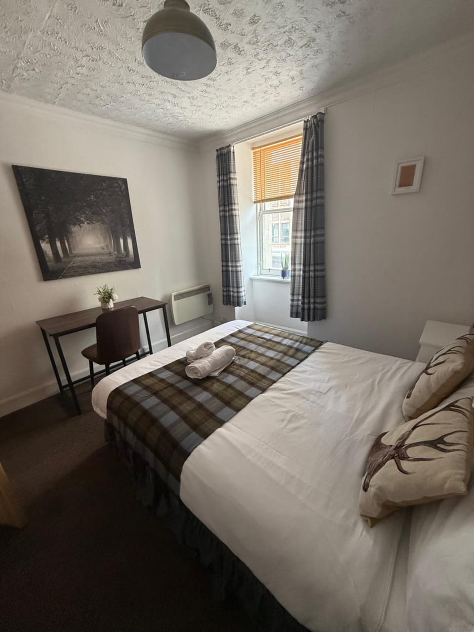 1 BR Apartment in old town (Nicolson Street) Apartment in Edinburgh