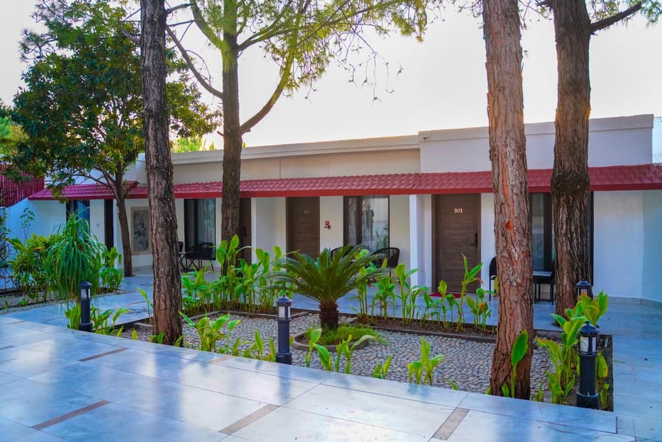 Property building, Garden, Garden view