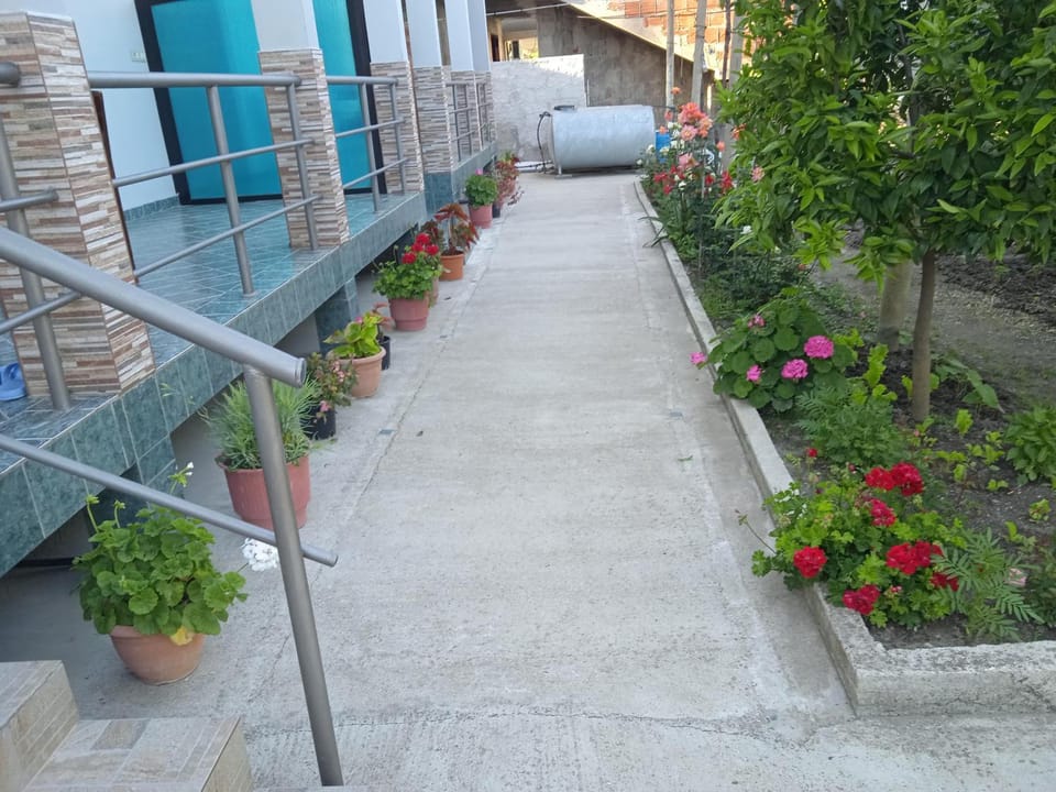 Vila N Dervishi Bed and Breakfast in Vlorë