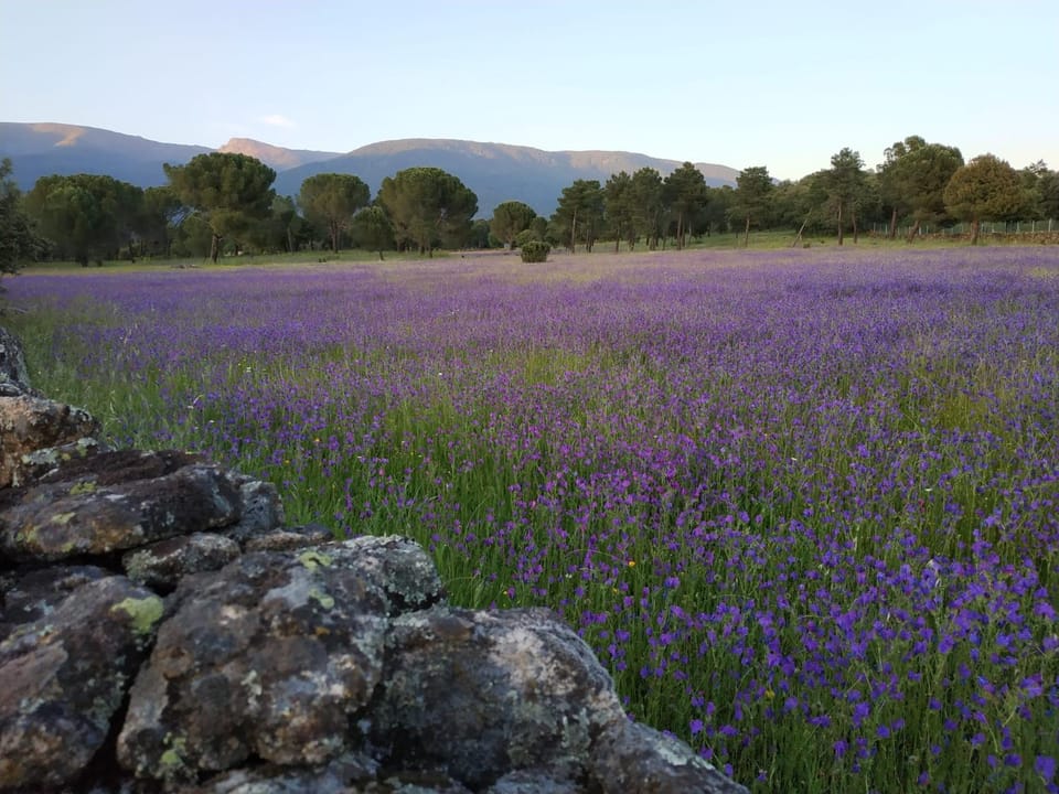 Nearby landmark, Spring