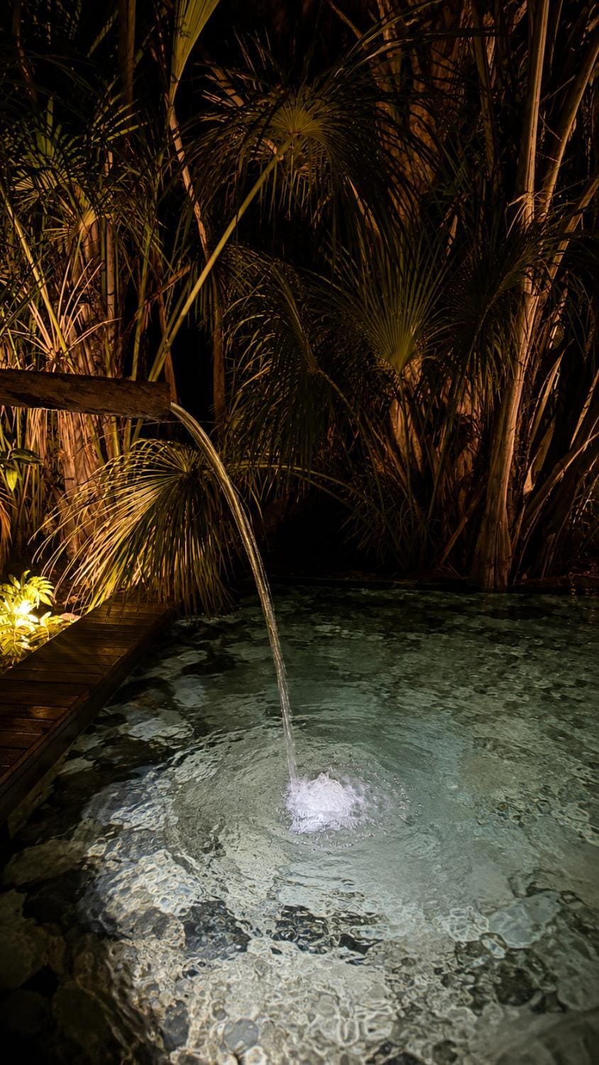 Night, Natural landscape