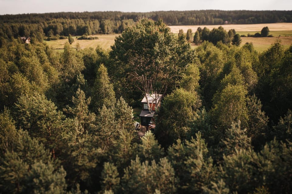 Neighbourhood, Natural landscape, Bird's eye view