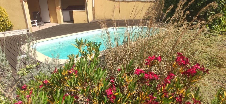 Garden, Pool view, Swimming pool