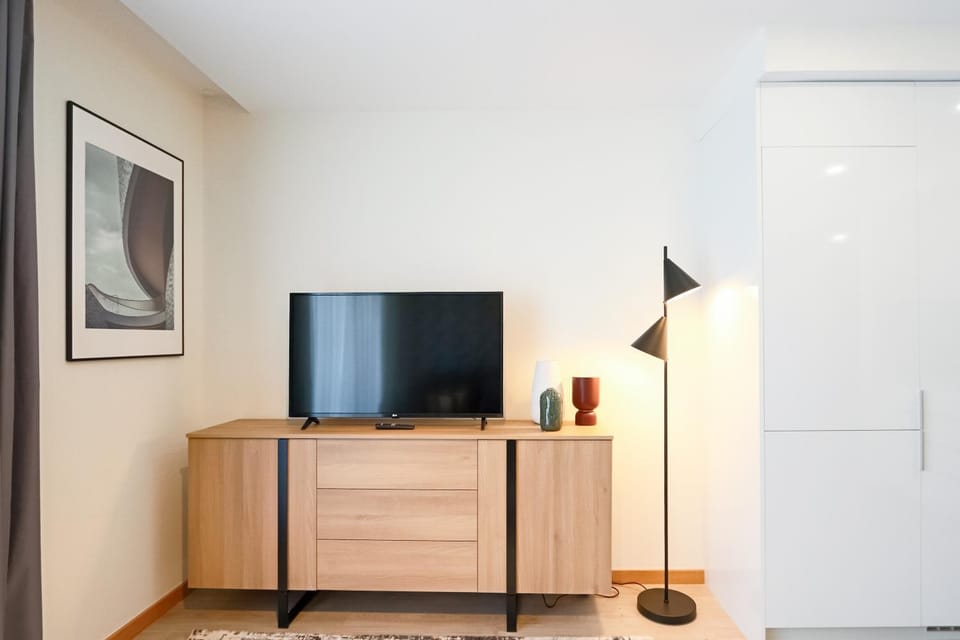 TV and multimedia
