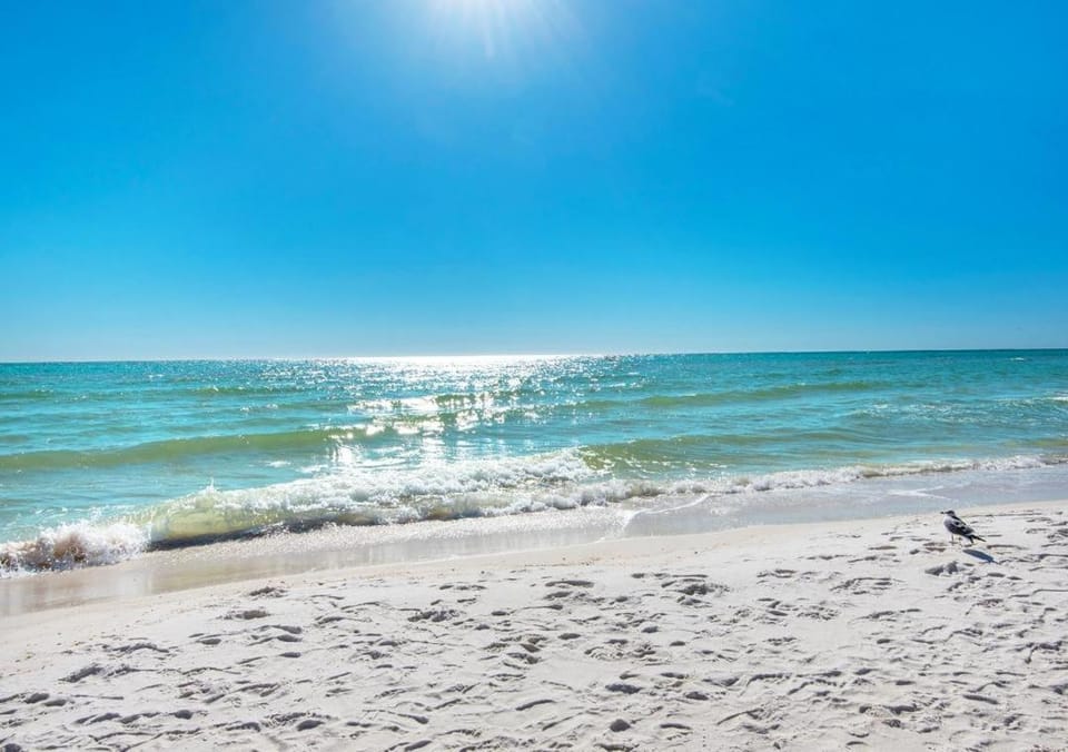 Tradewinds Condominium #2 House in Miramar Beach