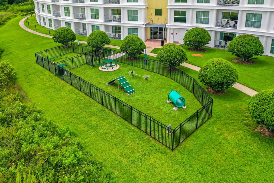 Property building, Pets