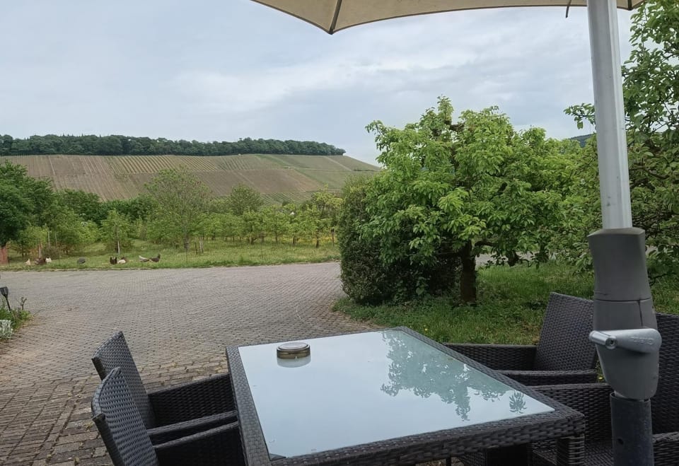 Weingut Villa Raevenhof Bed and Breakfast in Trier-Saarburg