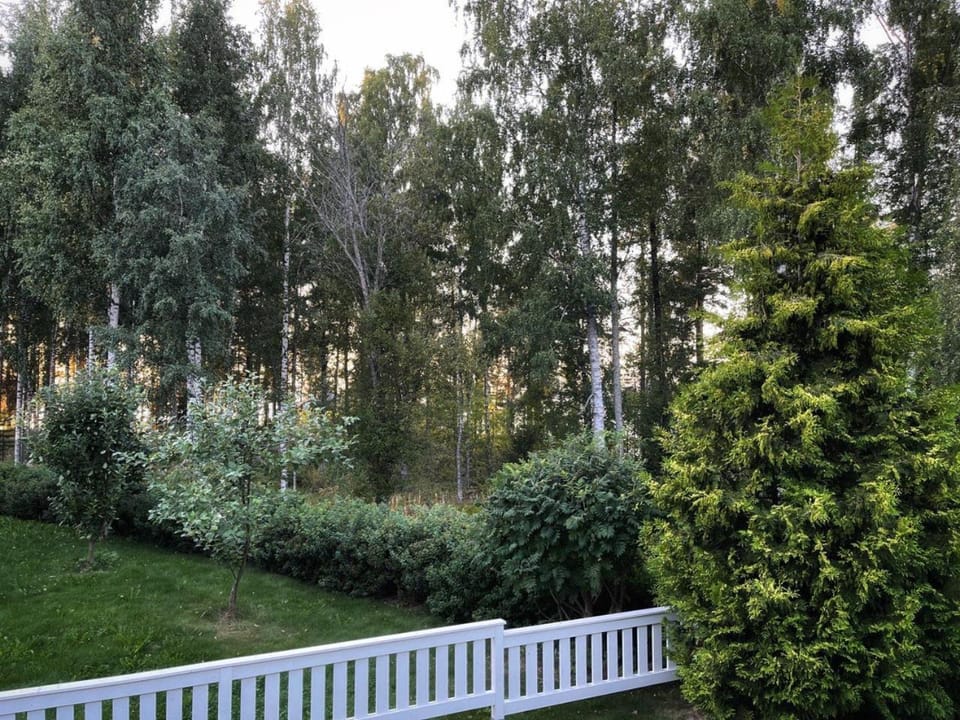Balcony/Terrace, Garden view
