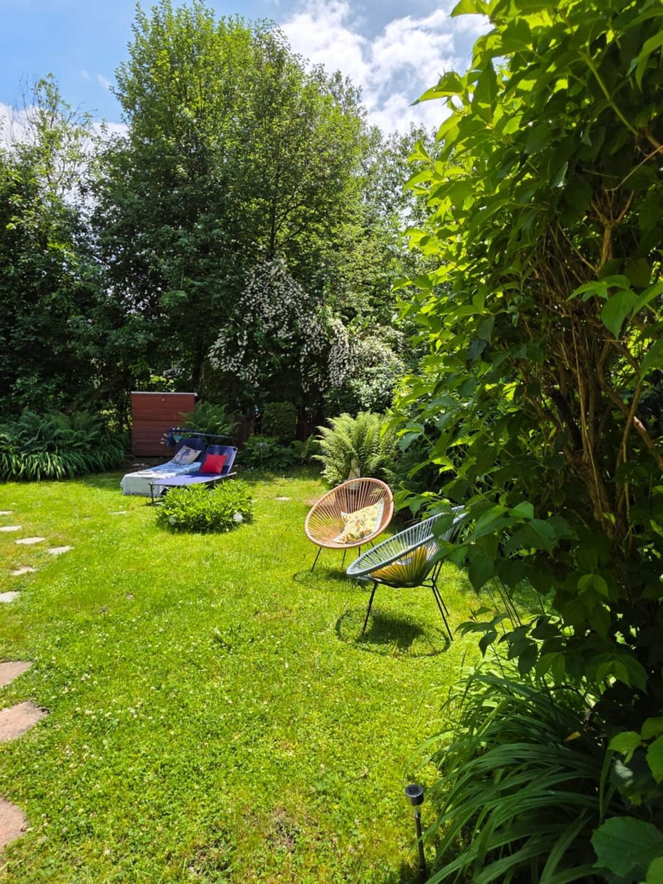 Garden, Garden view, sunbed