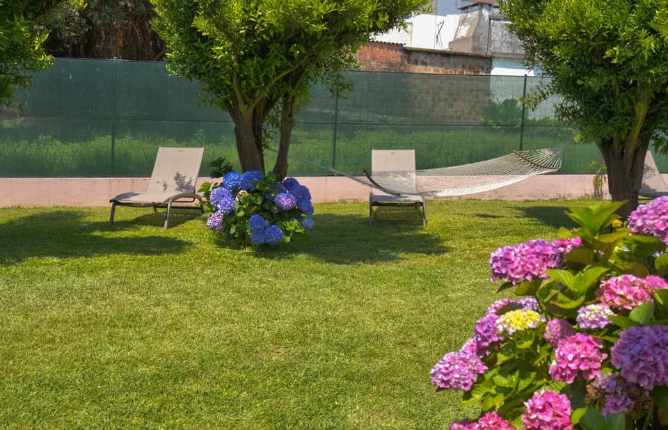 Spring, Day, Natural landscape, Garden, Garden view, sunbed