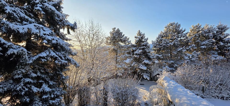 68m2 Ferienwohnung mit Pool und Garten Apartment in Upper Austria