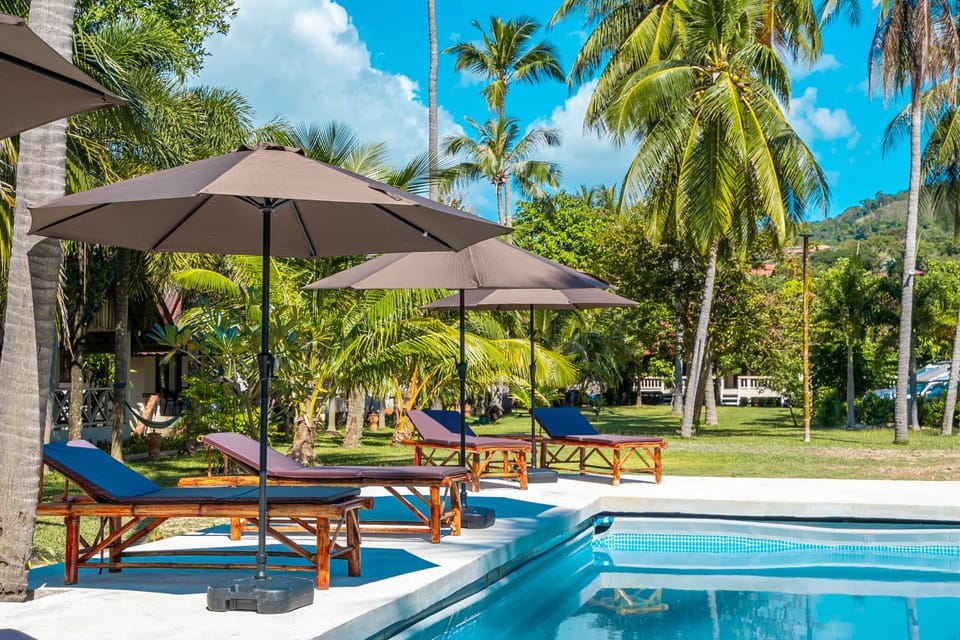 Patio, Day, Natural landscape, Garden, Garden view, Pool view, Swimming pool, sunbed