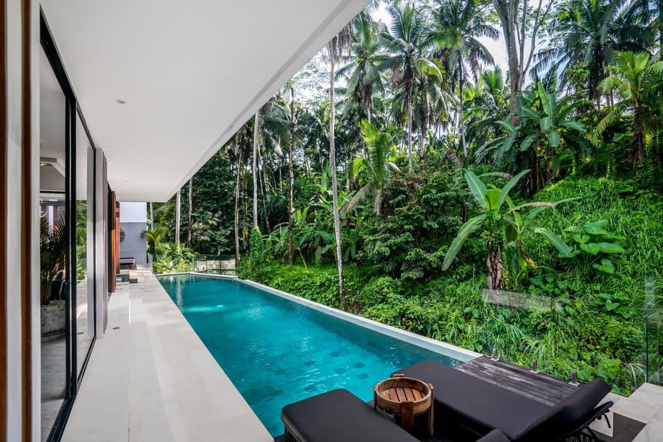 Natural landscape, Pool view, Swimming pool, sunbed