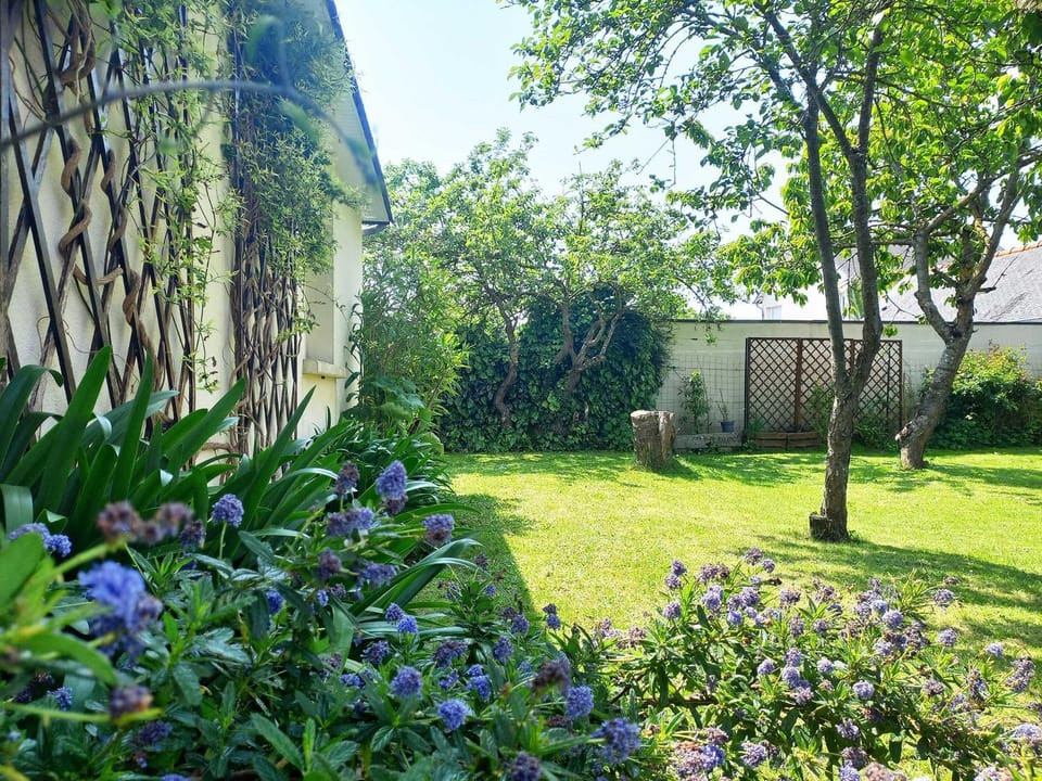 Garden, Garden, Garden view, Garden view