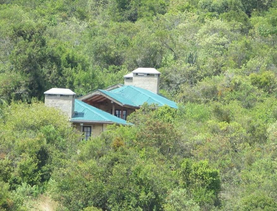 Property building, Natural landscape