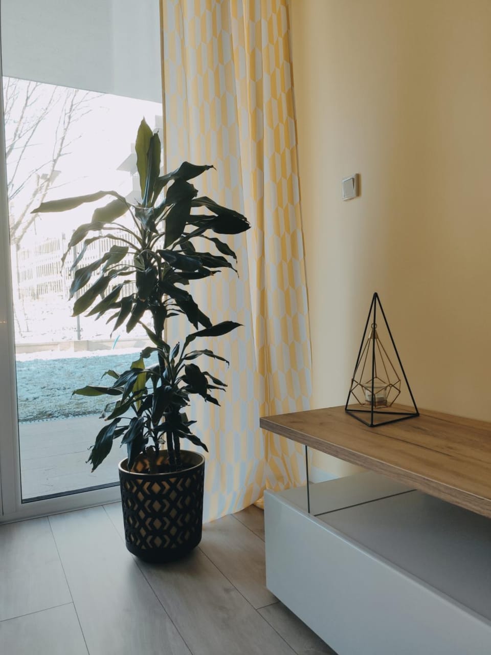 Garden view