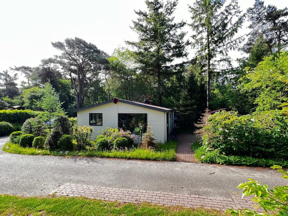 Boszicht Chalet in Drenthe (province)