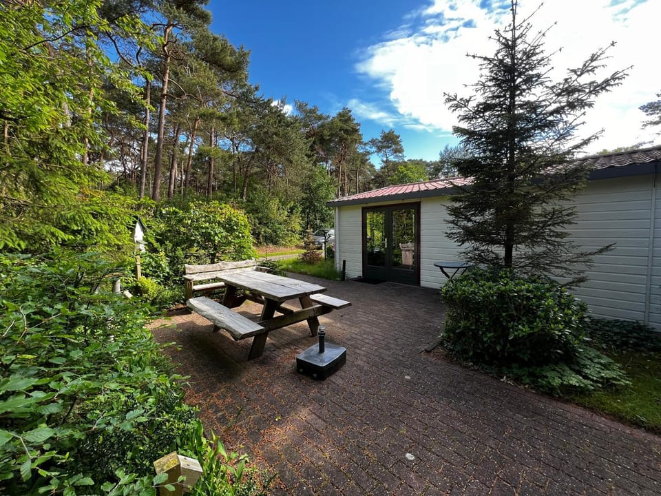 Boszicht Chalet in Drenthe (province)
