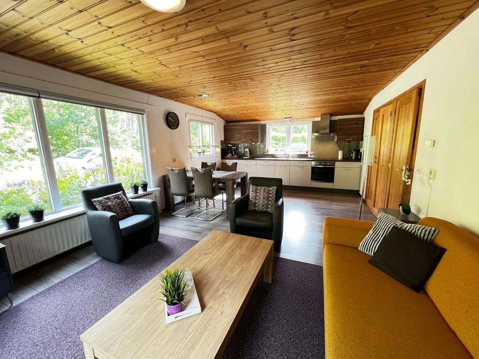 Boszicht Chalet in Drenthe (province)