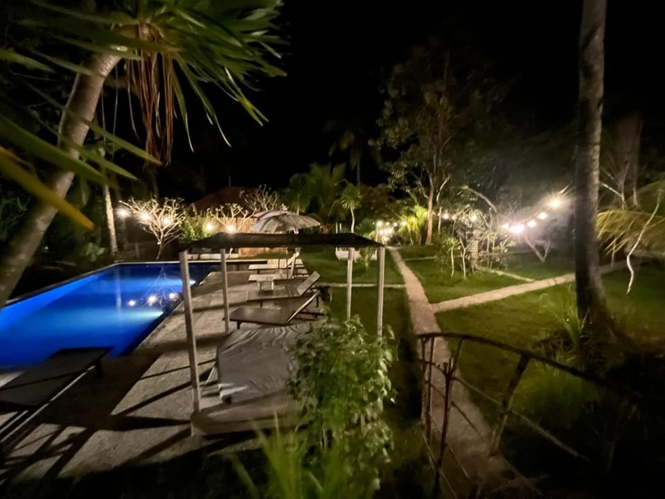 Night, Natural landscape, Garden view, Pool view, Swimming pool, sunbed