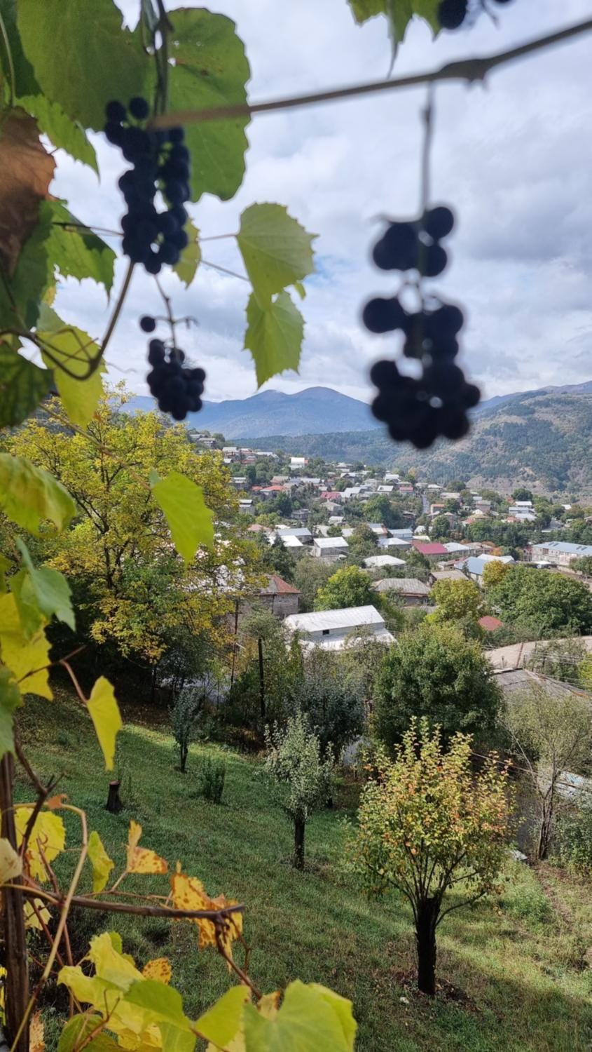 Amrots Deghceni - Boutique Castle Stay Bed and Breakfast in Armenia