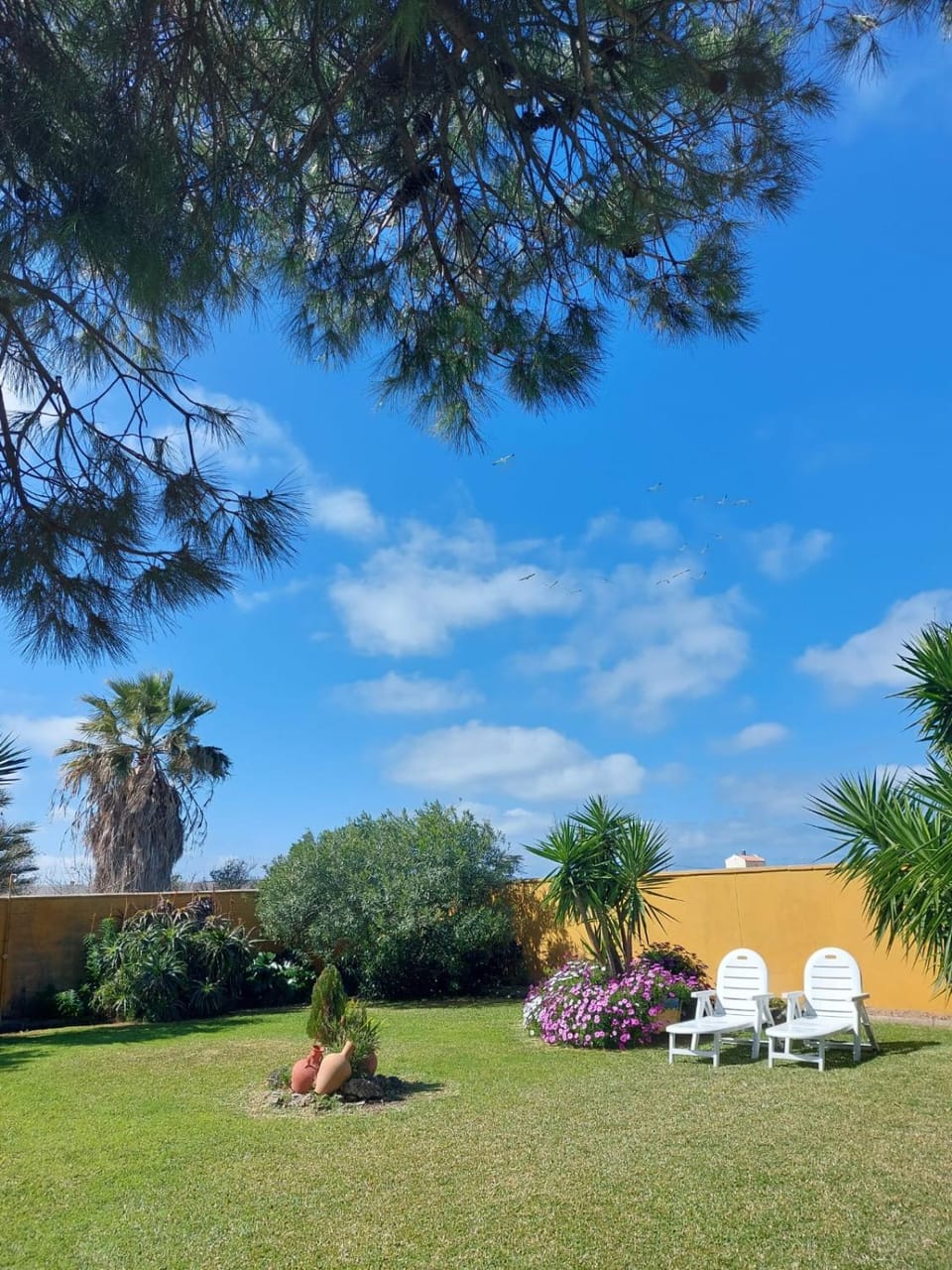Casa Manoli House in El Palmar de Vejer