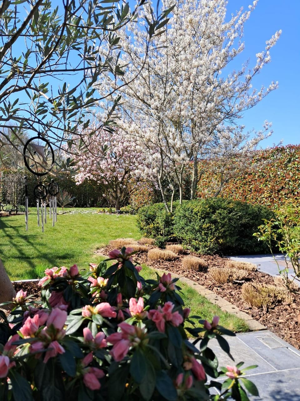 Spring, Garden, Garden view