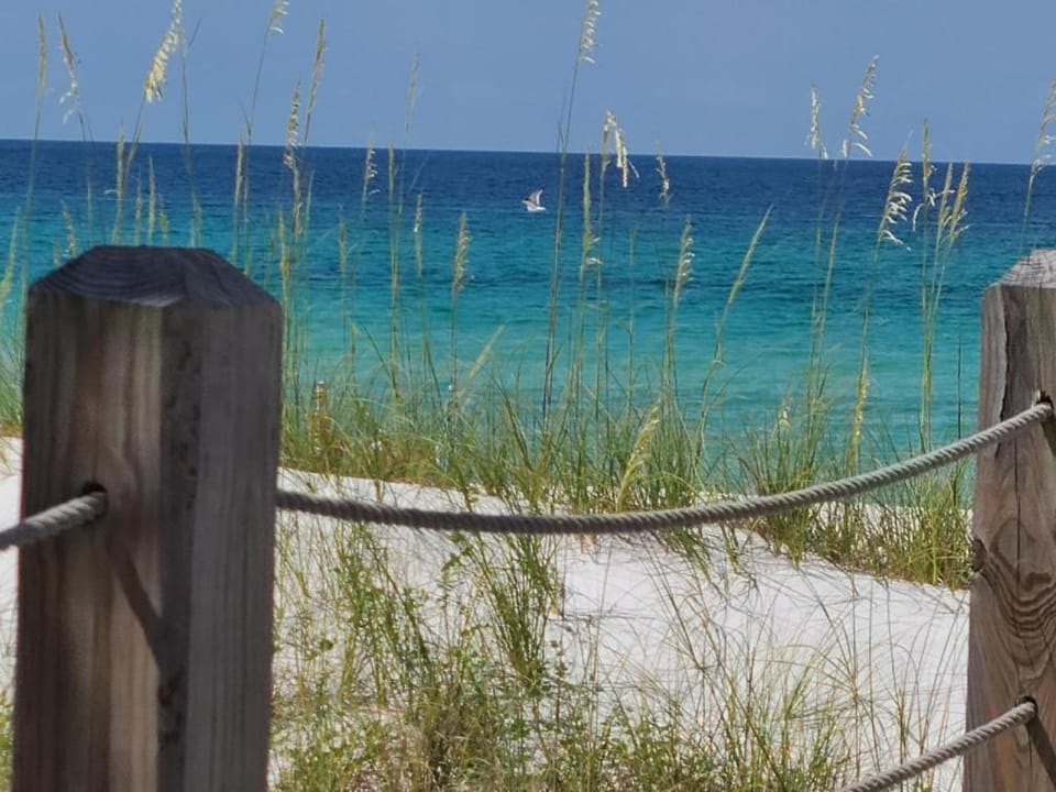 Mystic Marlin by Book That Condo House in Lower Grand Lagoon