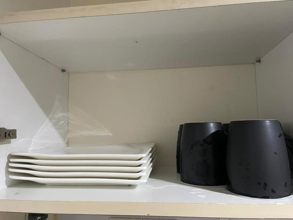 Kitchen or kitchenette, kitchen, kitchen