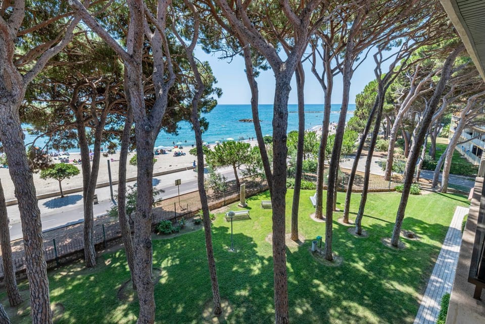 Beach, Beach, Garden view, Sea view