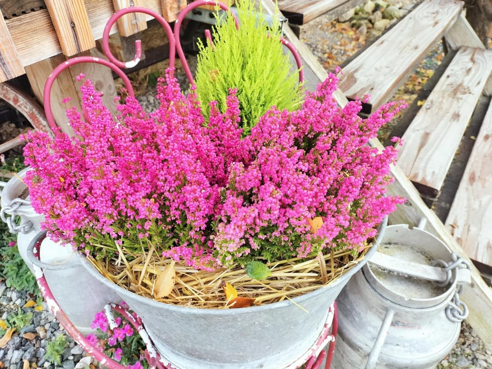 La roulotte de Jane Country House in Nogent-le-Rotrou