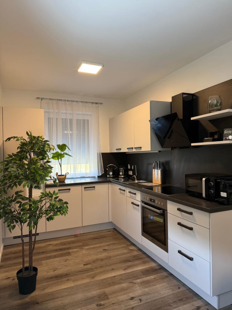 Coffee/tea facilities, Kitchen or kitchenette, stove